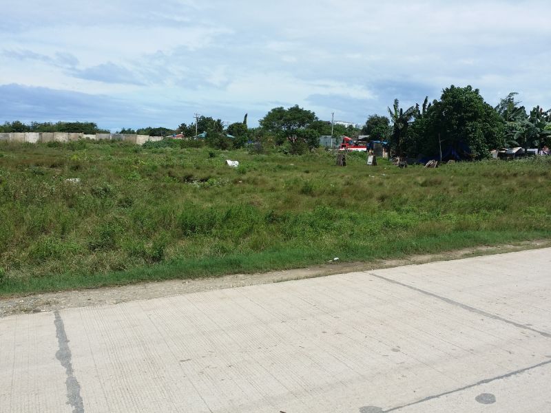 Clearing Overgrown Lots