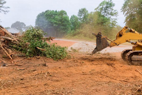 Ground Clearing in Brentwood