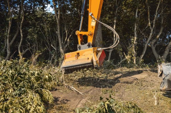 Brush Removal Service in Brentwood