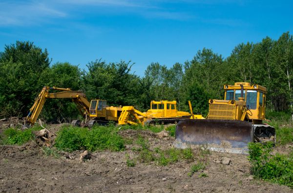 Bulldozer Clearing in Brentwood