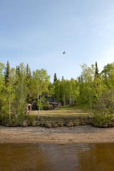 Waterfront Land Clearing