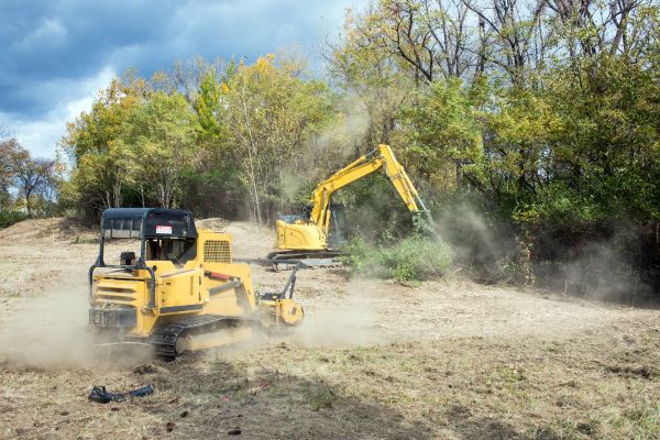 Terrain Clearing in Brentwood