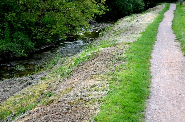 Trail Cutting in Brentwood